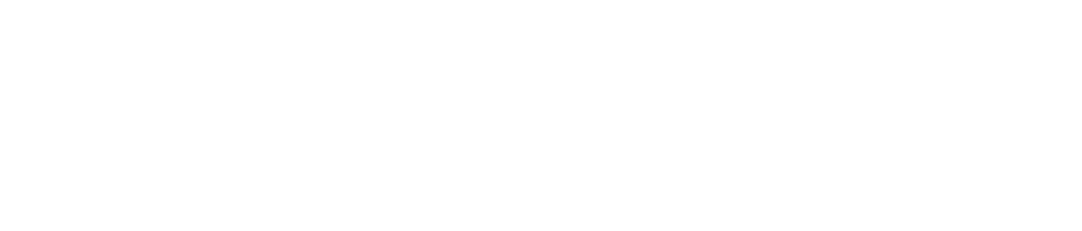 Serra Brasil Transportes